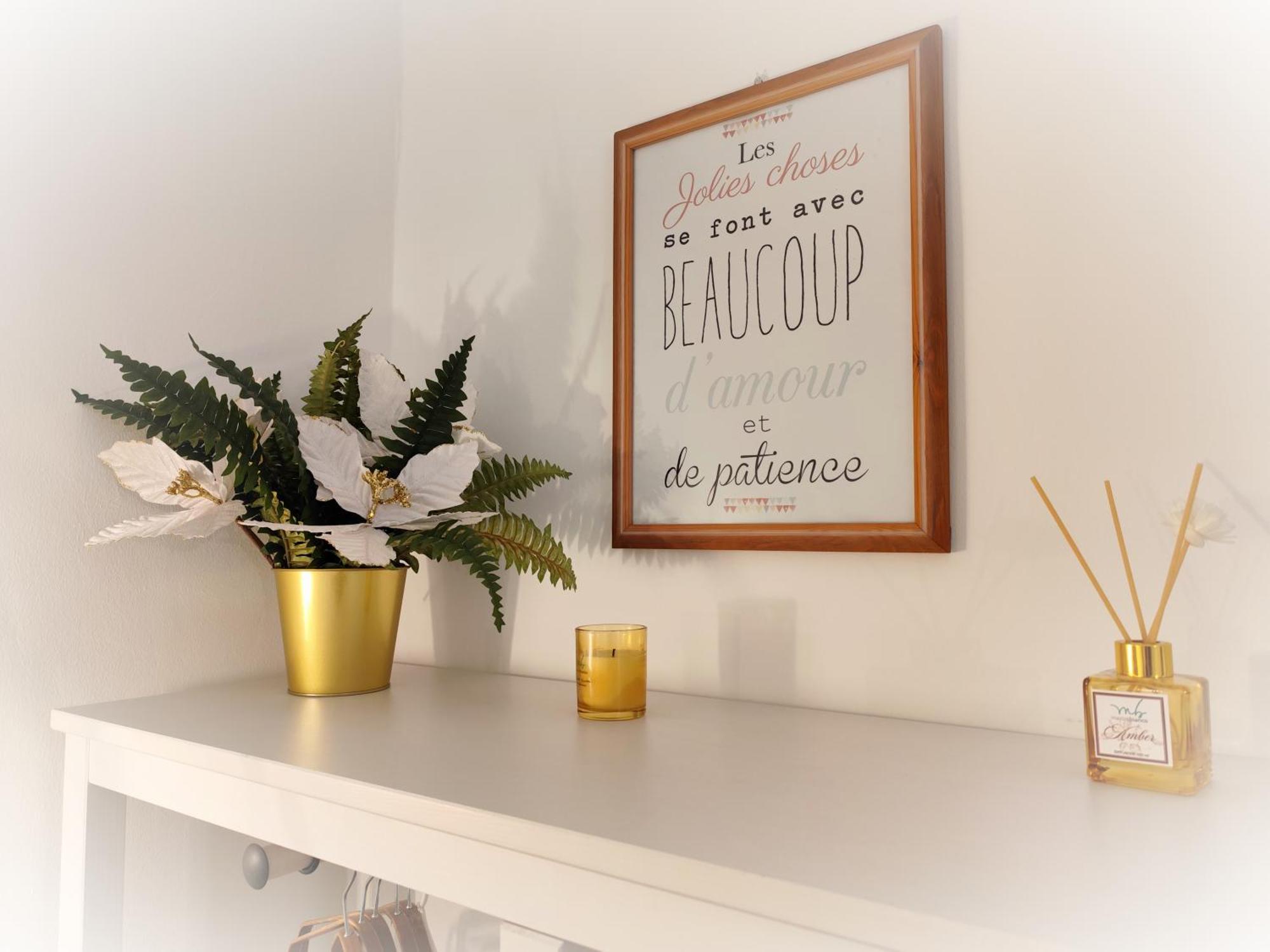 Appartement Calin *