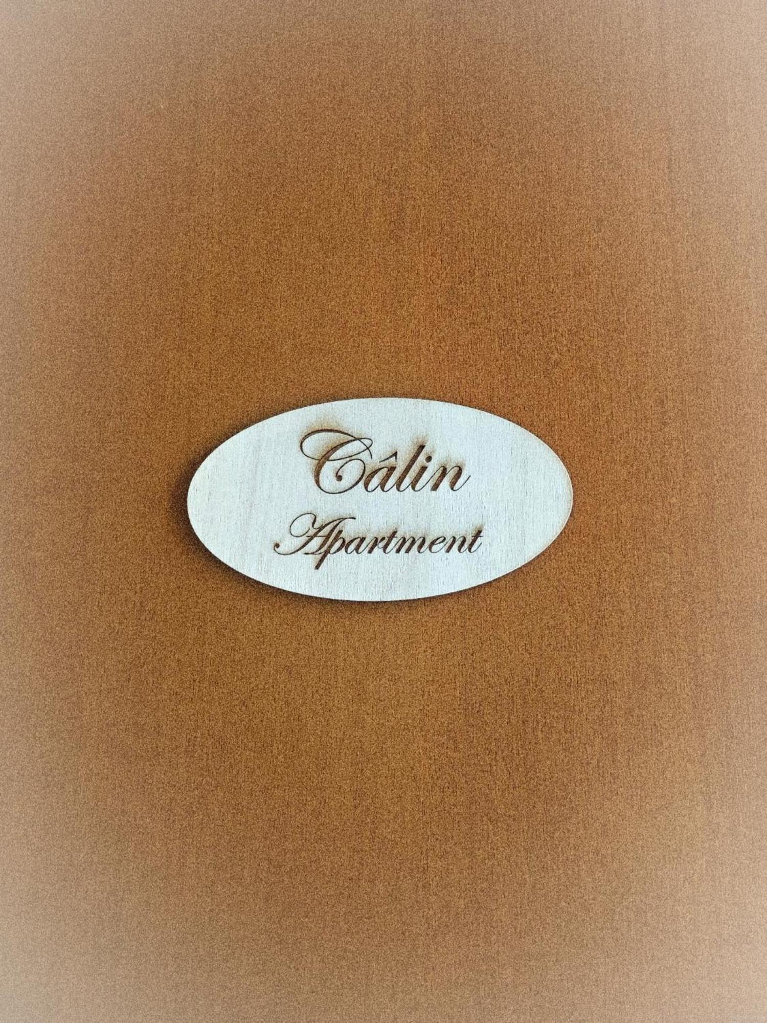 Calin Apartment