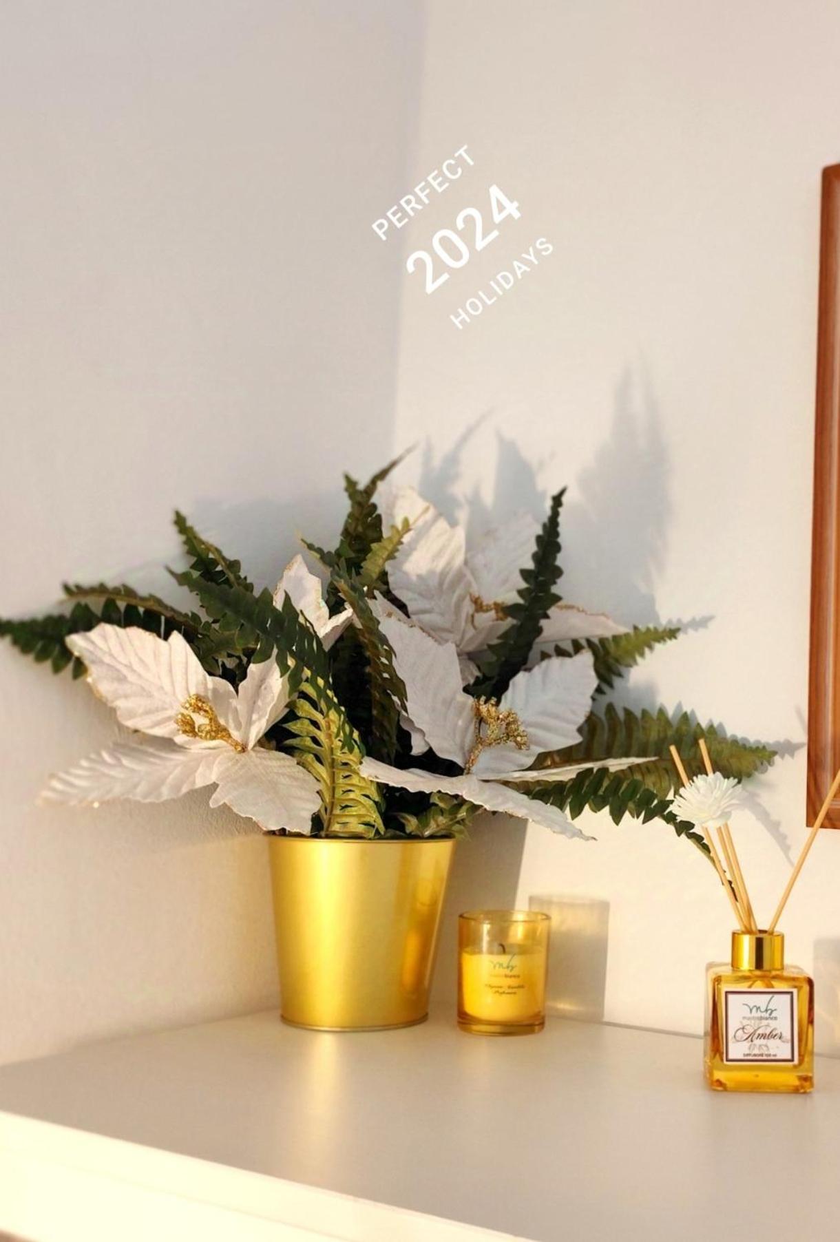 Calin Apartment